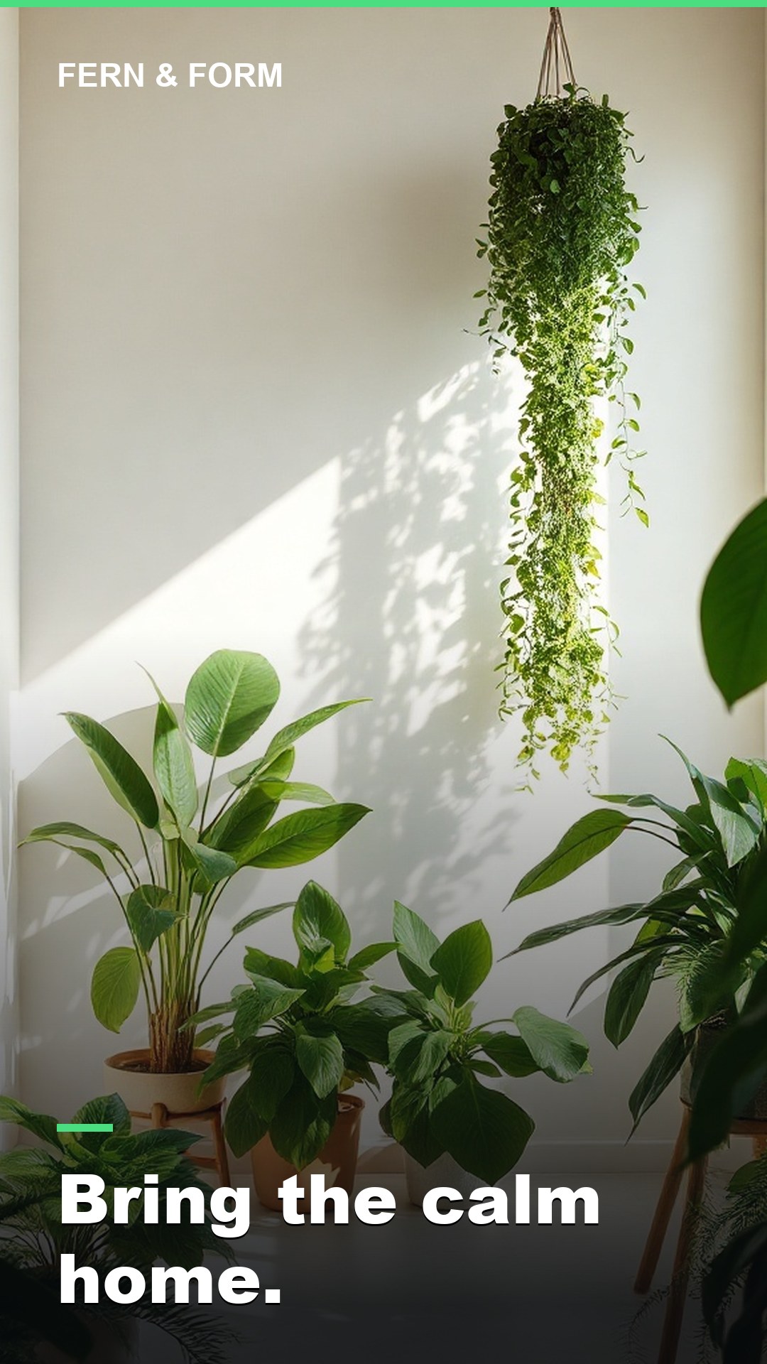 A home & plants brand post